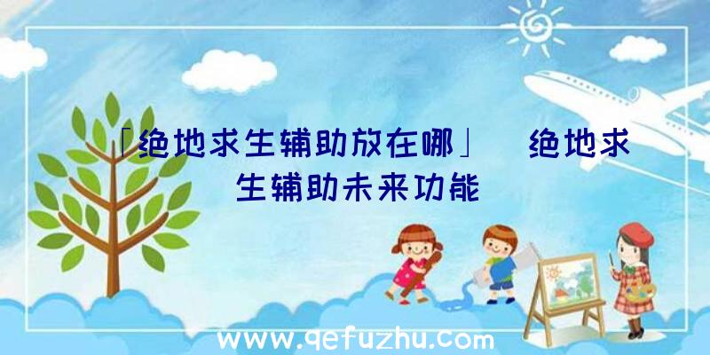 「绝地求生辅助放在哪」|绝地求生辅助未来功能